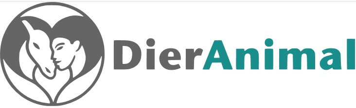 809d97ee e420 4b55 b1c3 14b5bc064316